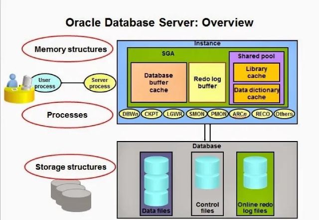 Cấu trúc của cơ sở dữ liệu Oracle là gì?