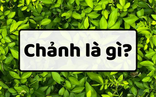Chảnh để miêu tả về tính cách của một người nào đó