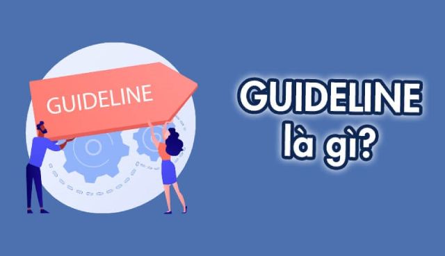 Guideline là gì? Vai trò, cấu trúc và phân loại guideline