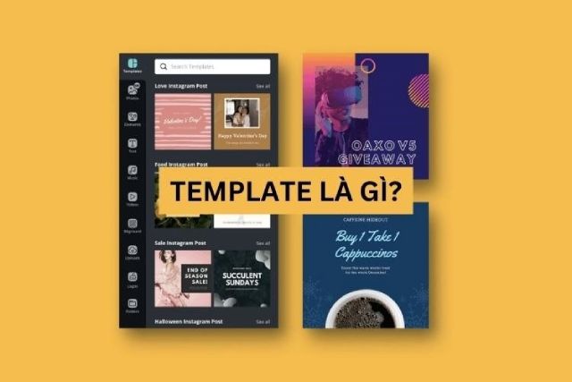 Template là gì? Cách chọn template phù hợp cho website