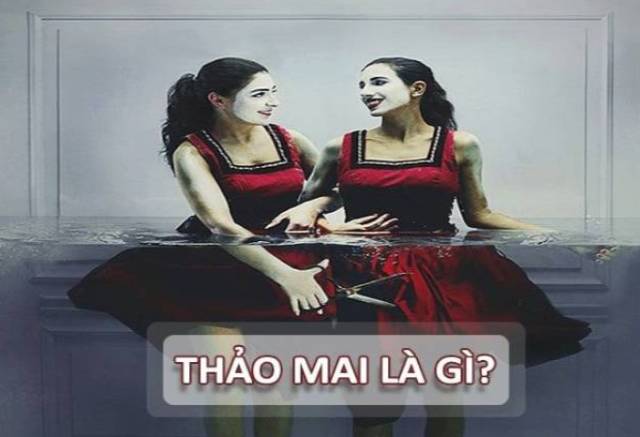 Thảo mai là gì