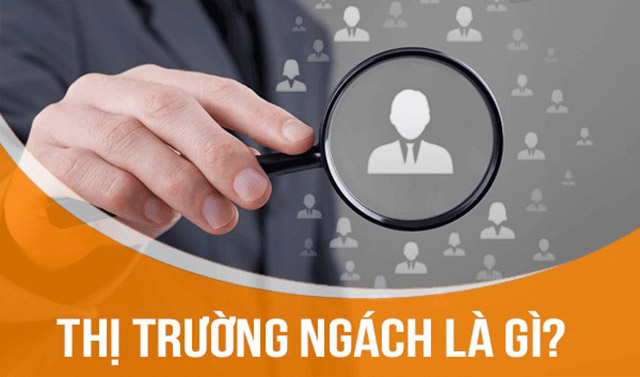 Thị trường ngách là gì? Cách xác định và lưu ý tham gia thị trường ngách là gì?