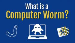 Computer Worms là gì? Cách nhận biết và ngăn chặn Computer Worms