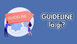 Guideline là gì? Vai trò, cấu trúc và phân loại guideline