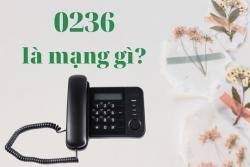 0236 là mạng gì? 0236 là mã vùng ở đâu và có lừa đảo không?