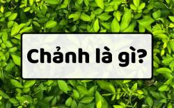 Chảnh là gì? Sang chảnh là gì? Chảnh chó là gì?