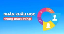 Nhân khẩu học là gì? Những yếu tố nhân khẩu học trong Marketing