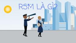 RSM là gì? Điểm khác nhau giữa Asm và RSM là gì?